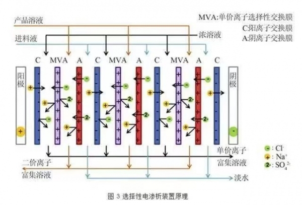 呼伦贝尔电渗析设备